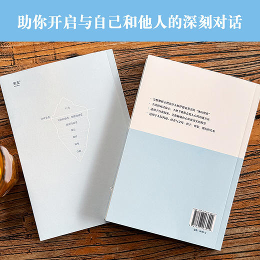 理解我们内在的冰山（赠《冰⼭练习曲》笔记本，人际交往飞跃式提升！） 商品图5