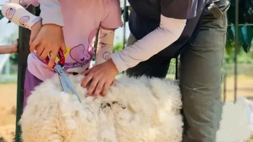 【智行研学】“小样快跑独立营” 商品图4