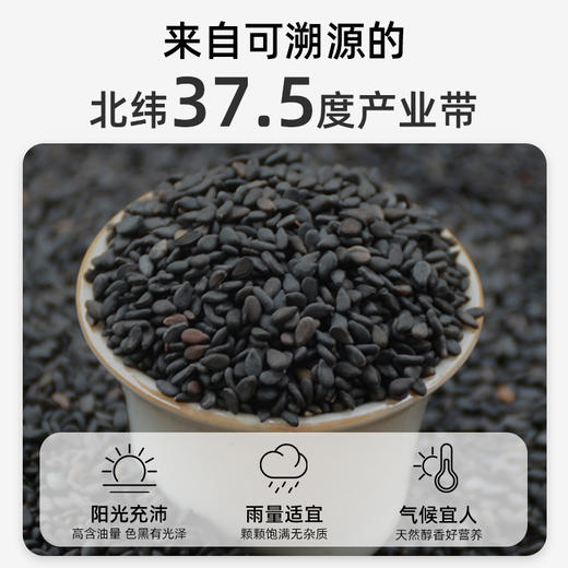 【3瓶】悠将黑芝麻酱 A-4004 （效期26-7） 商品图5