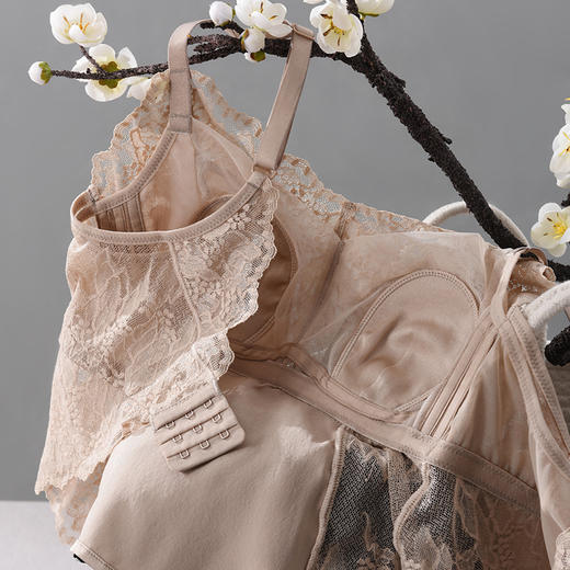 TG-TG02S242缎面真丝大胸显小美背 桑蚕丝性感蕾丝薄款文胸一体式吊带女 商品图3