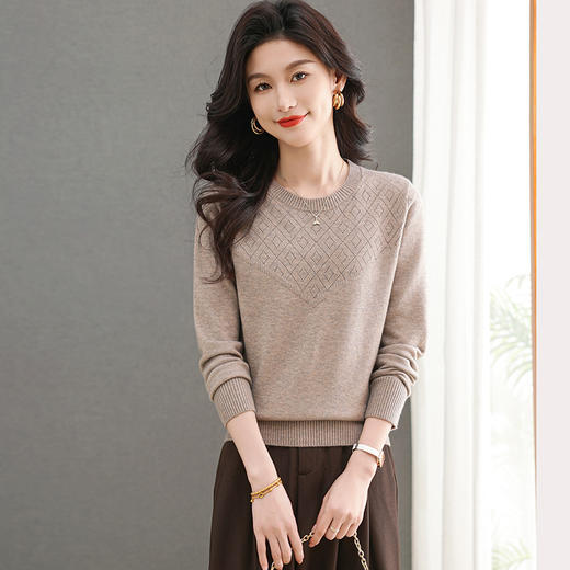 CC-101-96121春秋新款洋气圆领长袖t恤打底小衫女士洋气提花宽松针织上衣 商品图1