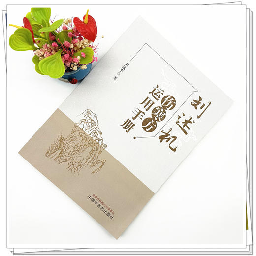 刘述机伤寒方运用手册 刘远平 著 中国中医药出版社 金匮要略 伤寒论基础入门速记 临床书籍 商品图1
