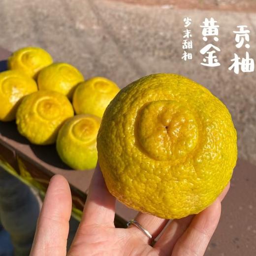 黄金贡柚 |岁末甜柑，自带铜钱币，招财进宝，百福具臻 商品图8