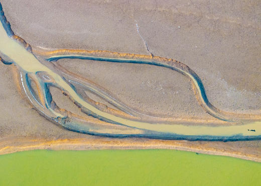 2月25日航拍中国 拍鸟专线—— 山东·东营鸟浪+黄河潮汐树5天(航拍+观鸟） 商品图12