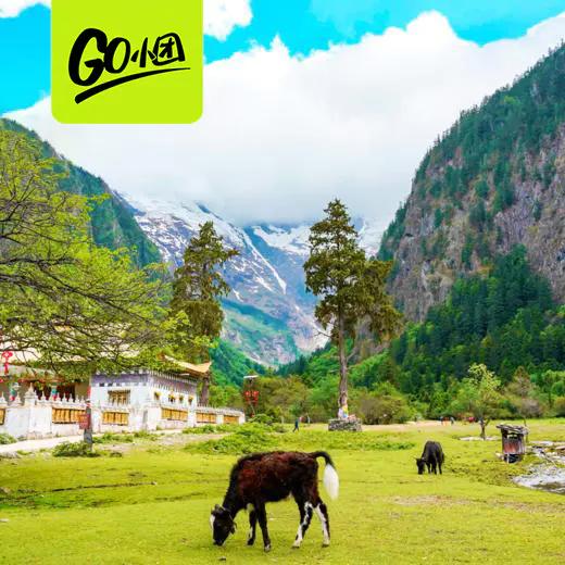 野趣香巴拉｜云南 ·丽江·香格里拉深度3日游【go小团】 商品图0