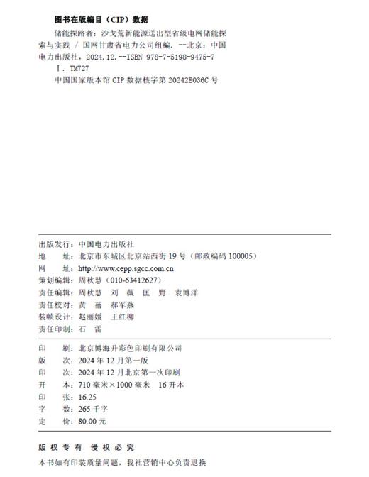 储能探路者——沙戈荒新能源送出型省级电网储能探索与实践 商品图3