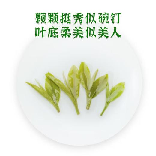 龙冠 木碗钉系列清香典范纯茶礼盒【HSCJ5.0】 商品图2