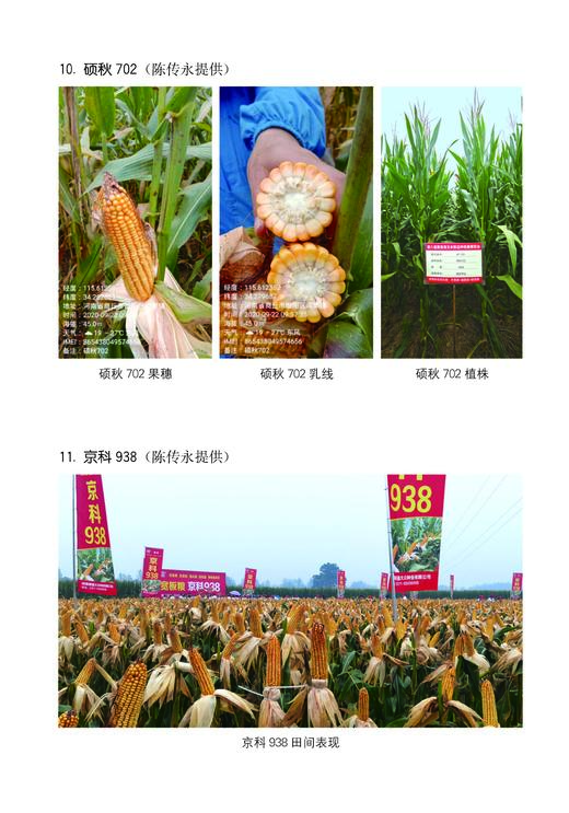 玉米生产技术大全 第二版 【官方正版，可开发票，下单时留开票信息和电子邮箱】 商品图1
