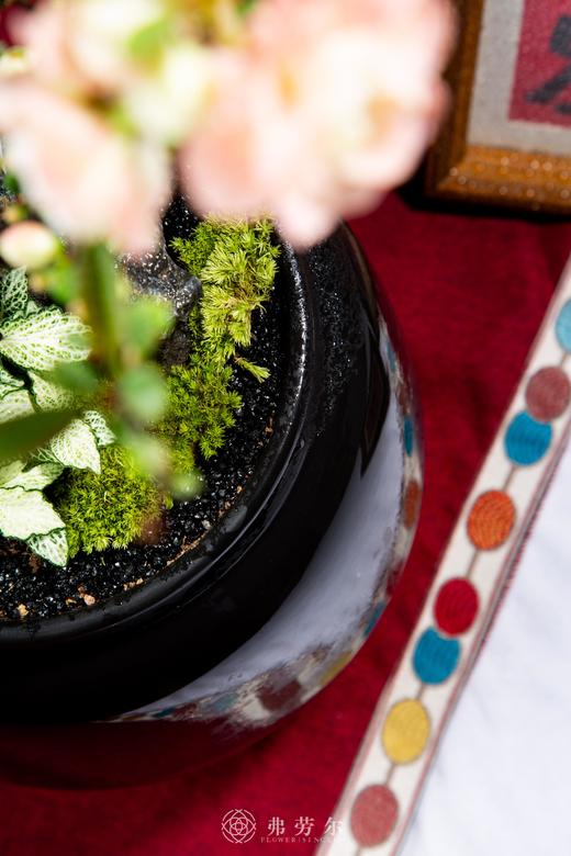 百花齐放 商品图2