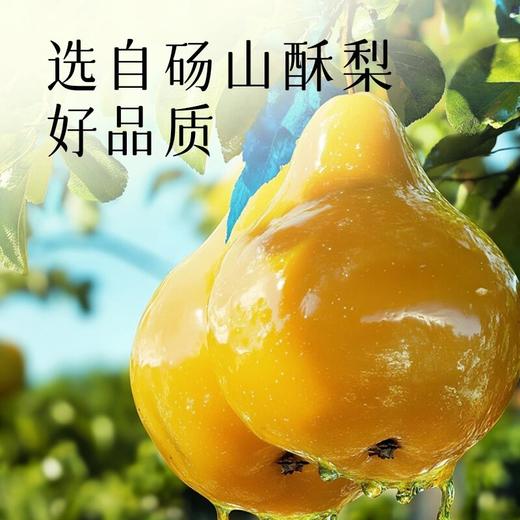 【纯梨膏】配料只用砀山酥梨 营养清润鲜果鲜榨儿童成人正品纯梨膏 商品图1