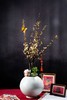 出水芙蓉 商品缩略图0