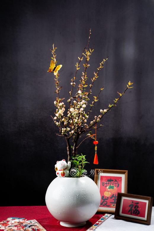 出水芙蓉 商品图0