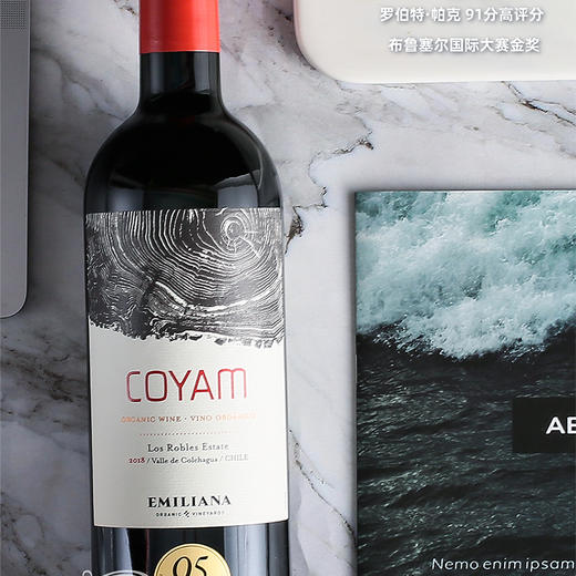 TY肆玖柯雅干红葡萄酒2瓶【鲜知10.0】 商品图1