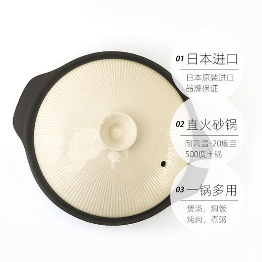 【特惠5折清货】日本万古烧直火锅汤锅陶锅砂锅炖锅煲仔饭米饭炖汤9号225ml 商品图6