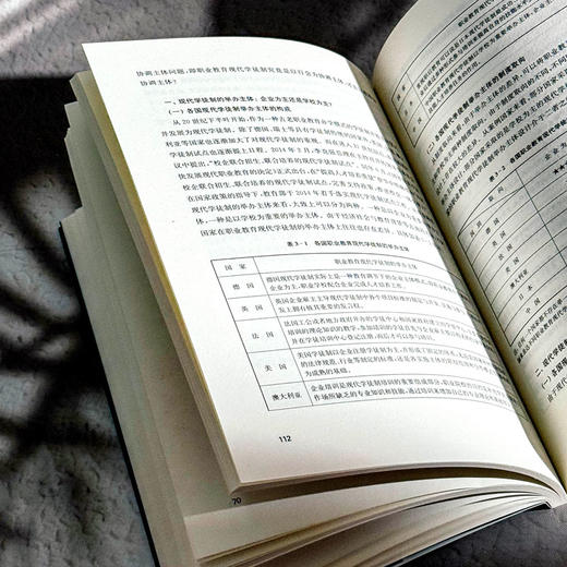 职业教育国家制度与国家政策比较研究 修订版 办学模式 商品图12