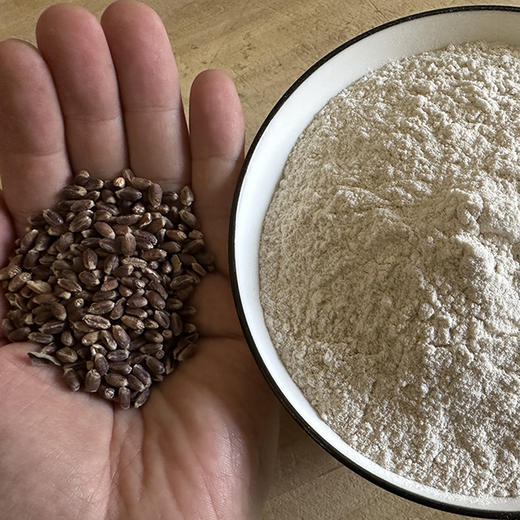 【农家黑麦粉】低脂肪，低升糖，适合糖友胖友人群，保留胚芽、麦芯，健康营养！【中筋】 商品图2