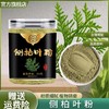 【旗舰正品】侧柏叶粉 植物草本碾粉居家日用必备精选柏叶粉130g/罐 商品缩略图0