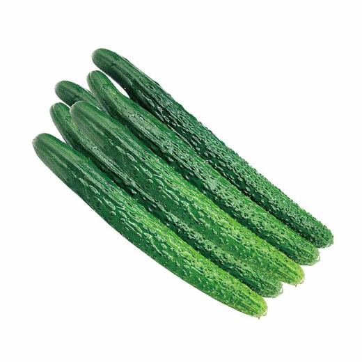 MM 山姆 黄瓜 1kg 商品图0