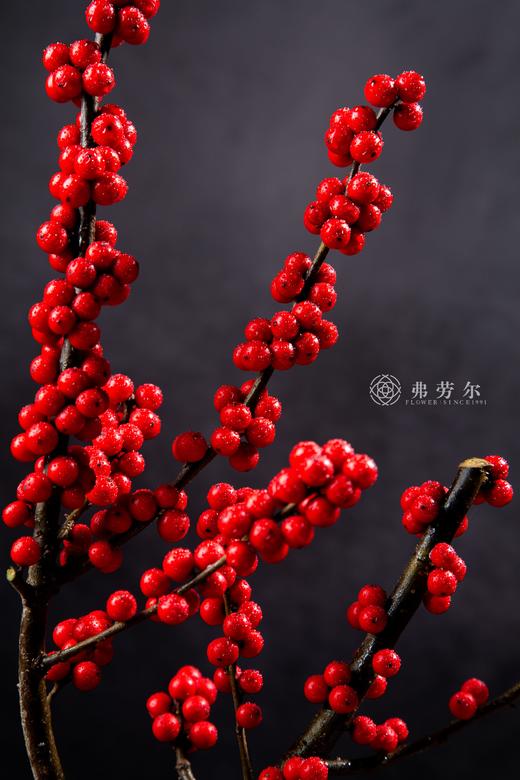 万事如意 商品图2