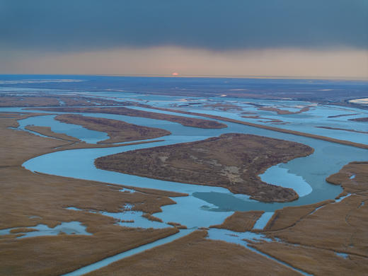 2月25日航拍中国 拍鸟专线—— 山东·东营鸟浪+黄河潮汐树5天(航拍+观鸟） 商品图7