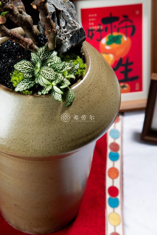 花团锦簇 商品图2