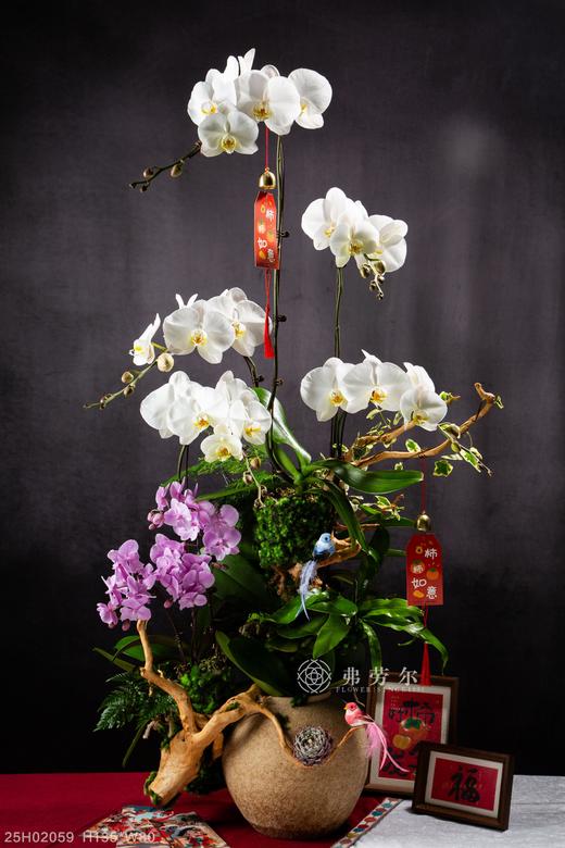 春风得意 商品图0