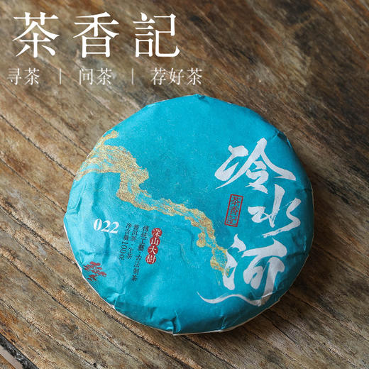 茶香记 冷水河大树生普022普洱茶刮风寨小众山场性价比高香扬水柔好喝耐泡宜藏宜喝 商品图0
