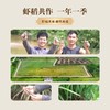 和平乐源 阿公树坝 生态丝苗米 3kg 商品缩略图2