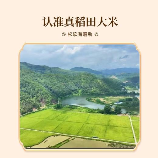 和平乐源 阿公树坝 丝苗米2.5kg 商品图4