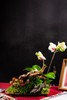 春暖花开 商品缩略图1