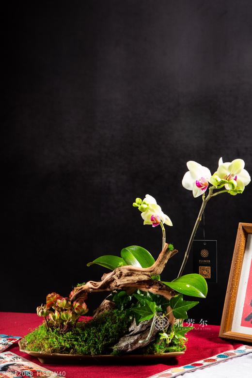 春暖花开 商品图1