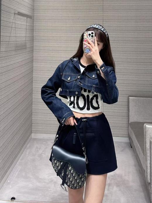 迪奥皮面拼接帆布老花马鞍包（HH） 商品图1