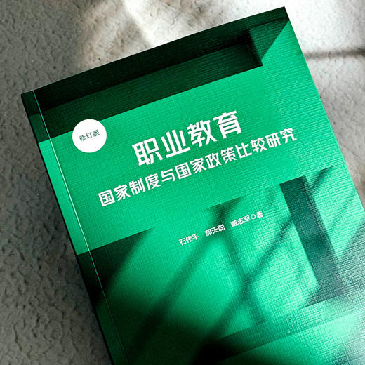 职业教育国家制度与国家政策比较研究 修订版 办学模式 商品图4