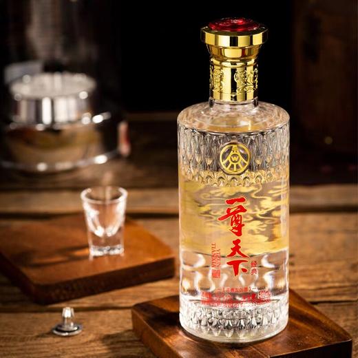 五粮液 一尊天下经典52度浓香型白酒 500ml/瓶 商品图1
