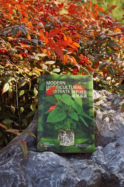 现代园艺栽培基质 &2689   江胜德主编（虹越花卉股份有限公司董事长、党总支书记、高级工程师）  中国林业出版社  花园时光工作室 商品图2
