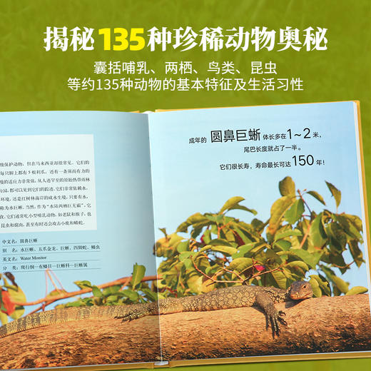 【青葫芦】神奇动物在哪里：马来西亚+亚马孙雨林 商品图2