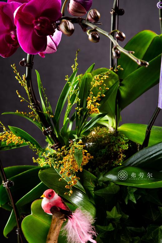 瑞蛇盈门 商品图1