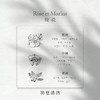 【法国国礼品牌】馥说 初夏清湾 无火香薰礼盒 藤条扩香持久无酒精 水生馥奇调 200ml 商品缩略图2