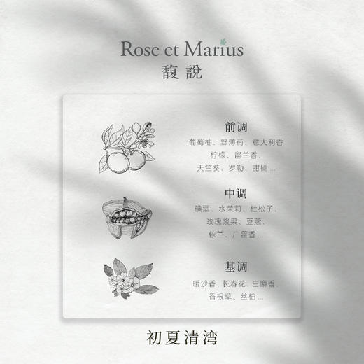 【法国国礼品牌】馥说 初夏清湾 无火香薰礼盒 藤条扩香持久无酒精 水生馥奇调 200ml 商品图2