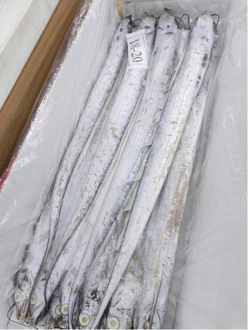 白箱刀鱼一箱 商品图1