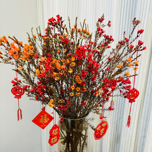 【新年第一花】AB级红色腊梅3大支+AB级橙色腊梅3大支 商品图1