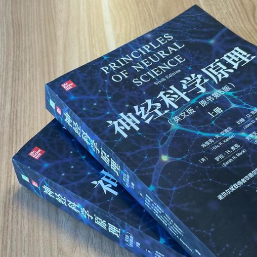 神经科学原理(英文版·原书第6版)(上下册) 商品图2
