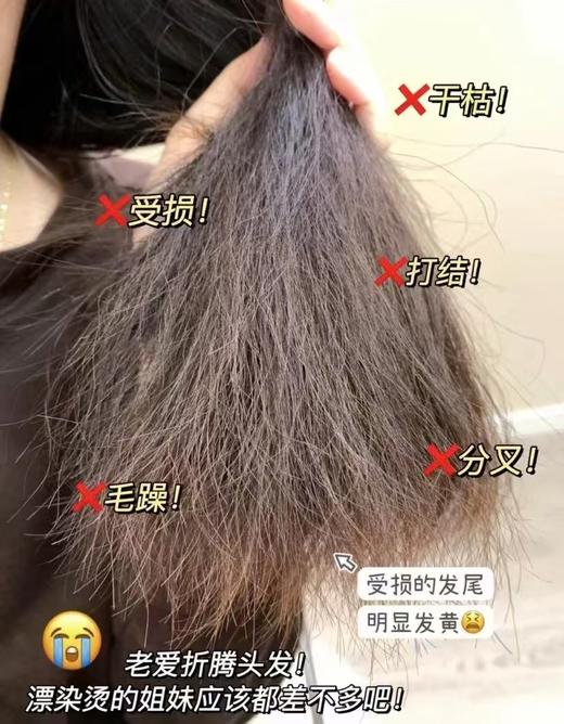 曼迪雅山茶花洗发水➕沐浴露 洗发水护发素沐浴露 商品图5