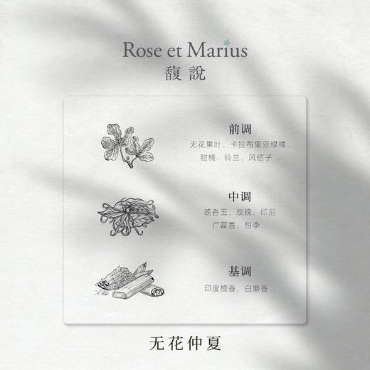 【法国国礼品牌】馥说 无花仲夏 无火香薰礼盒 藤条扩香持久无酒精 木质花香调 200ml 商品图2