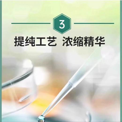 【拍一发三】李时珍葛根灵芝片加班熬夜应酬护浓缩甘肝片成人正品 商品图2