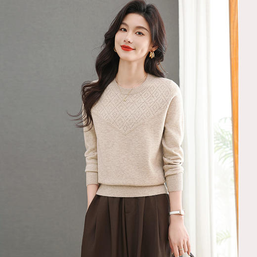 CC-101-96121春秋新款洋气圆领长袖t恤打底小衫女士洋气提花宽松针织上衣 商品图2