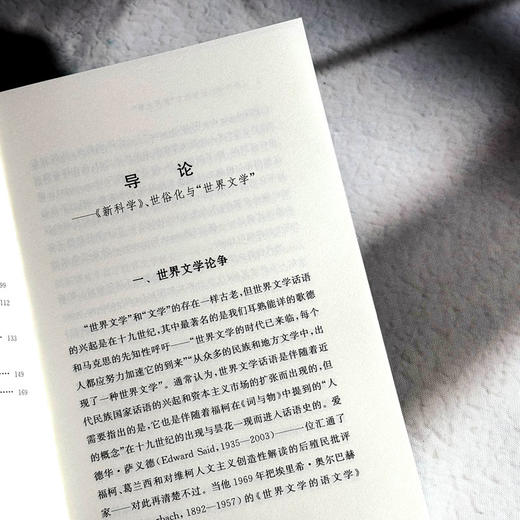 《新科学》 世俗化与“世界文学” 张燕萍 历史与文学视角结合 商品图6