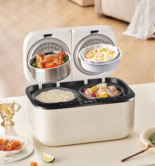 德国Zemkon低糖双胆电饭煲_JWS-SDG01 商品图1