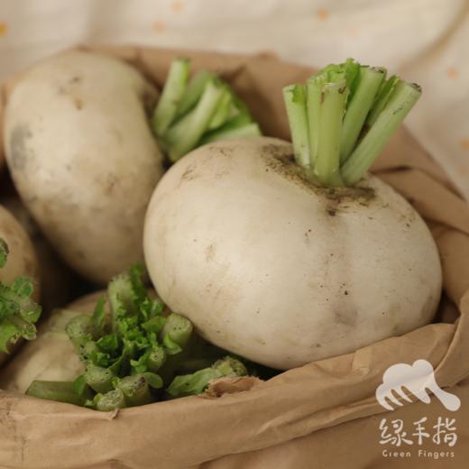 生态圆白萝卜（中通） | 合作生产*Ecological round white radish | Coproduction 商品图3