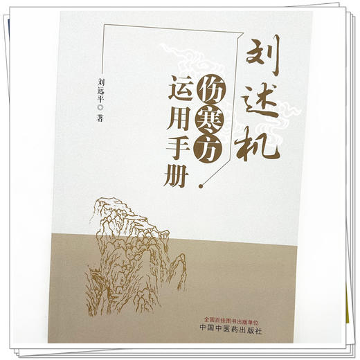刘述机伤寒方运用手册 刘远平 著 中国中医药出版社 金匮要略 伤寒论基础入门速记 临床书籍 商品图3